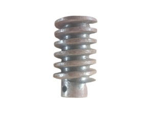 ms-worm