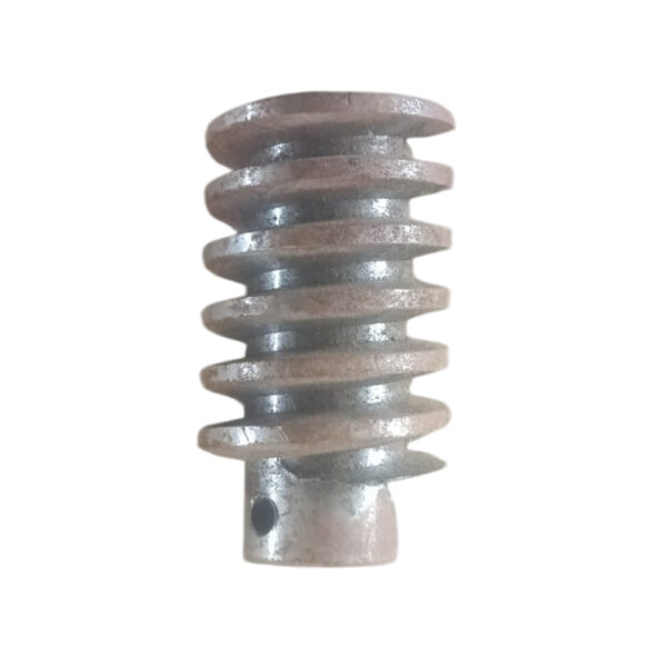 ms-worm